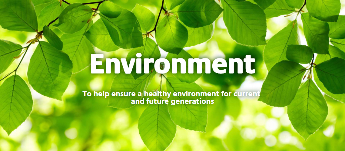 Enviroment Enviroment