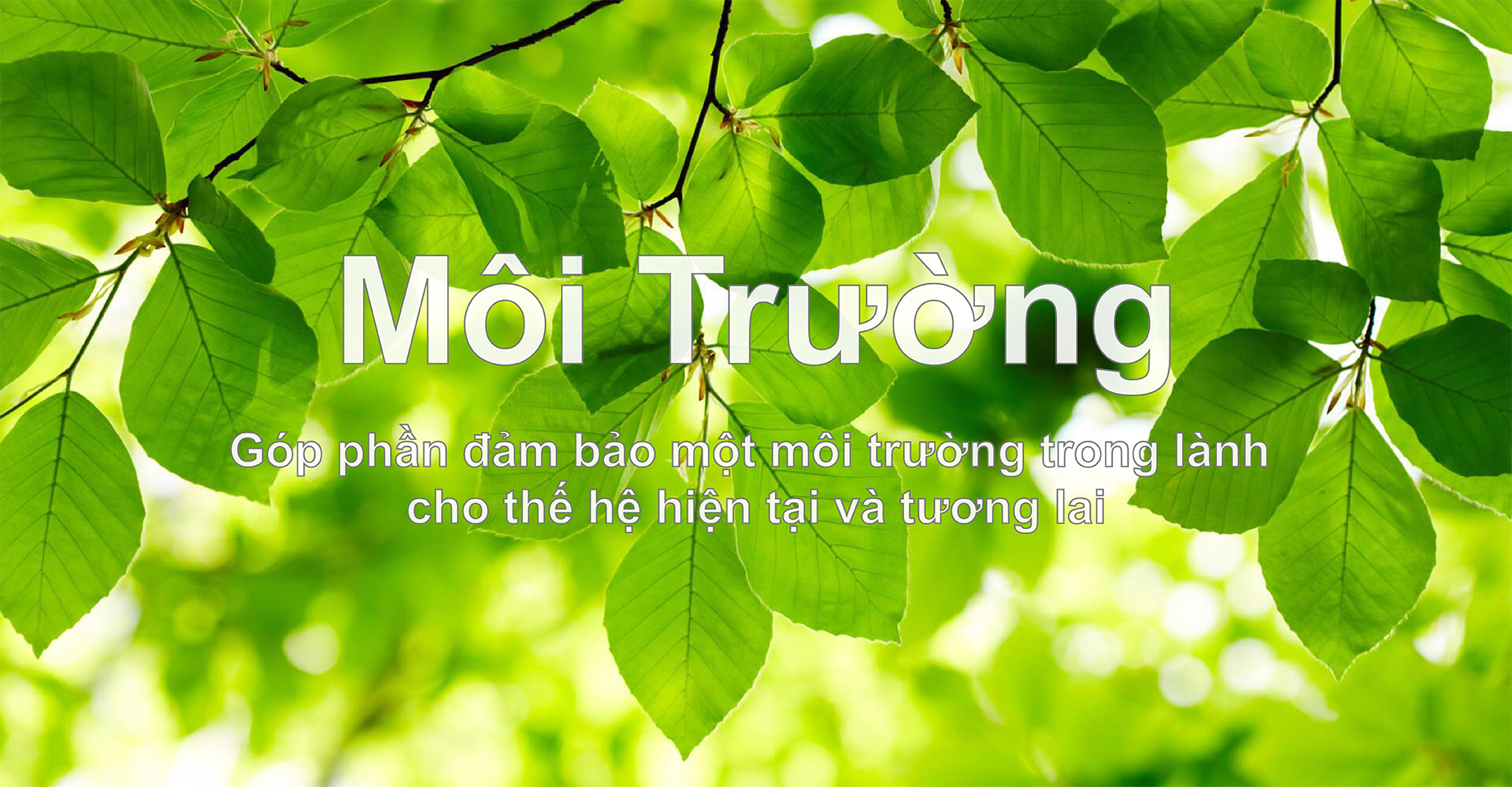 Enviroment Enviroment