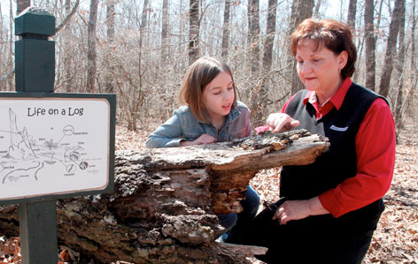 Rethink Green: Bridgestone Environmental Programs Rethink Green: Bridgestone Environmental Programs