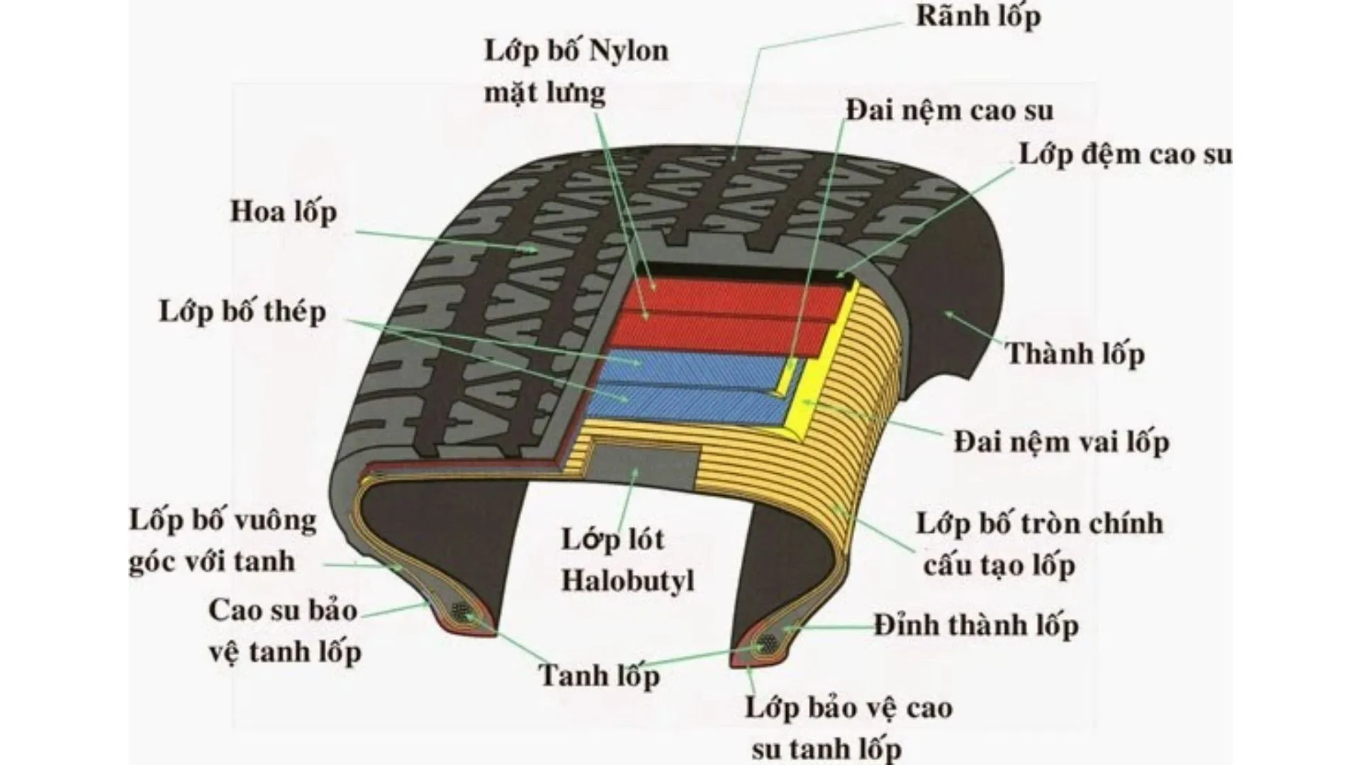 bánh xe ô tô ảnh 3 cấu tạo lốp xe ô tô