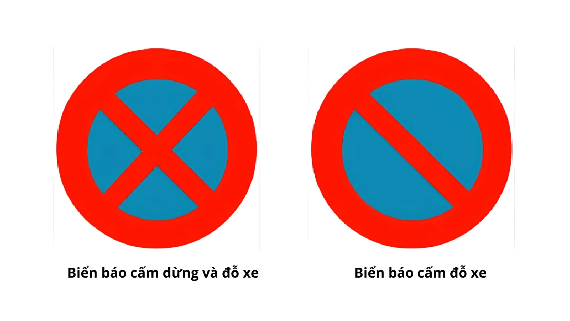 biển báo giao thông đường bộ ảnh số 11 biển báo cấm dừng và đỗ xe