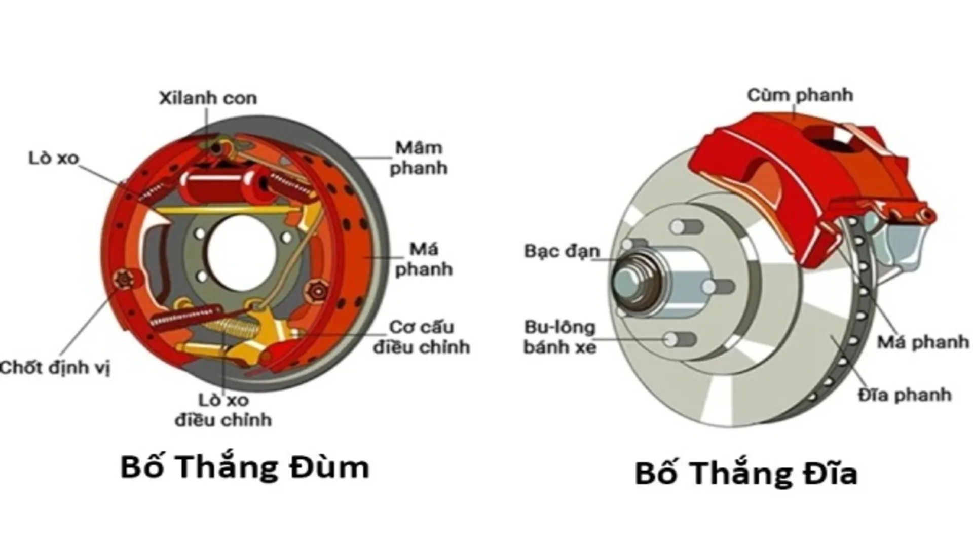 Các loại bố thắng