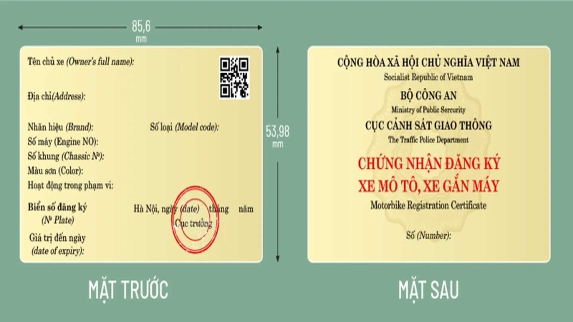 Cà vẹt xe 1.2 Cà vẹt xe là gì?