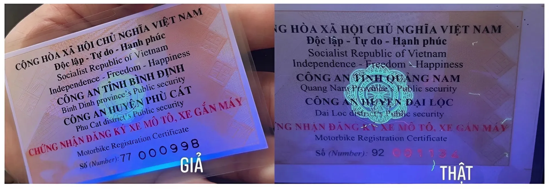 cà vẹt xe ảnh 2 Làm sao để biết cà vẹt xe thật hay giả?