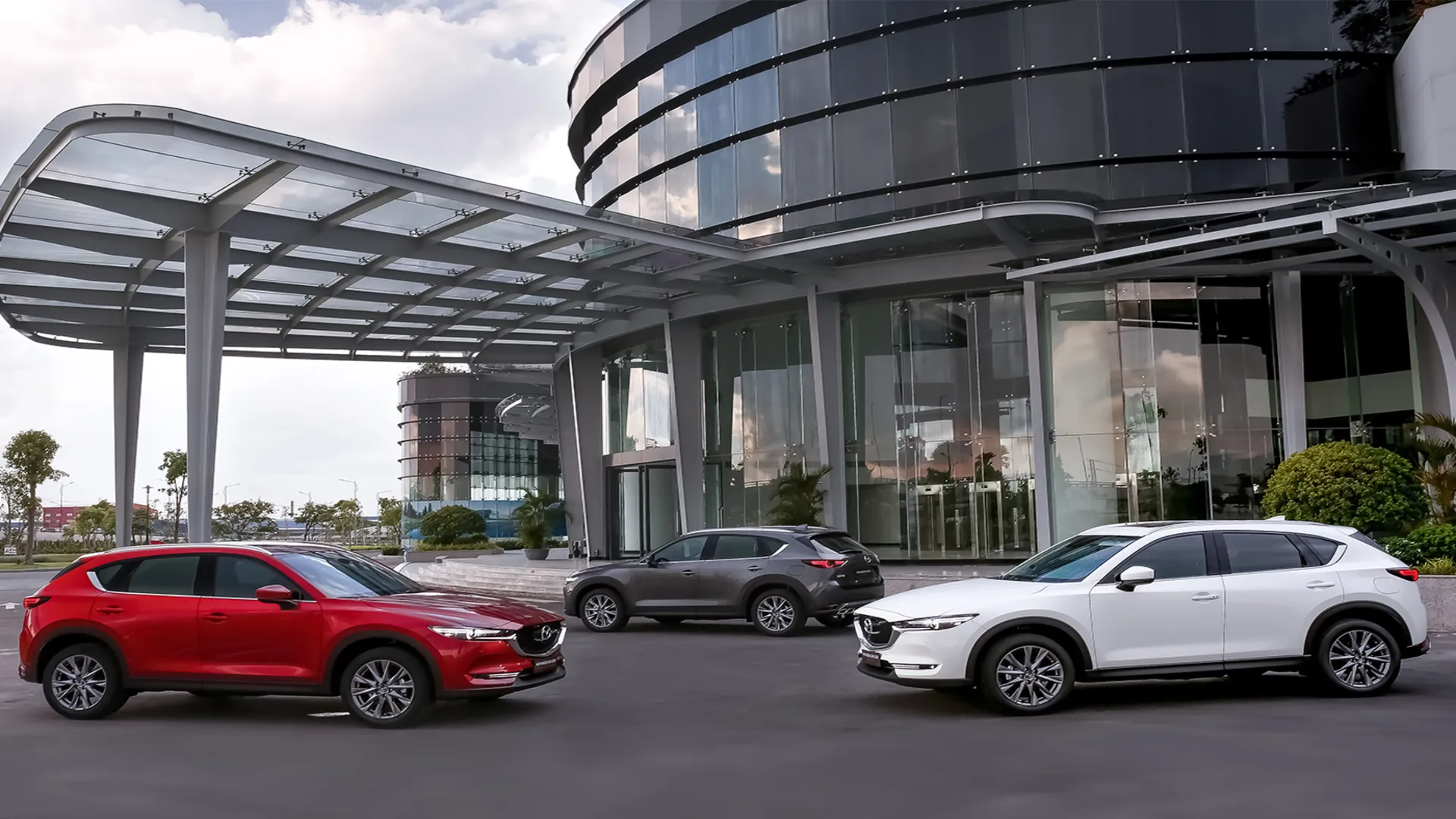 Xe Mazda