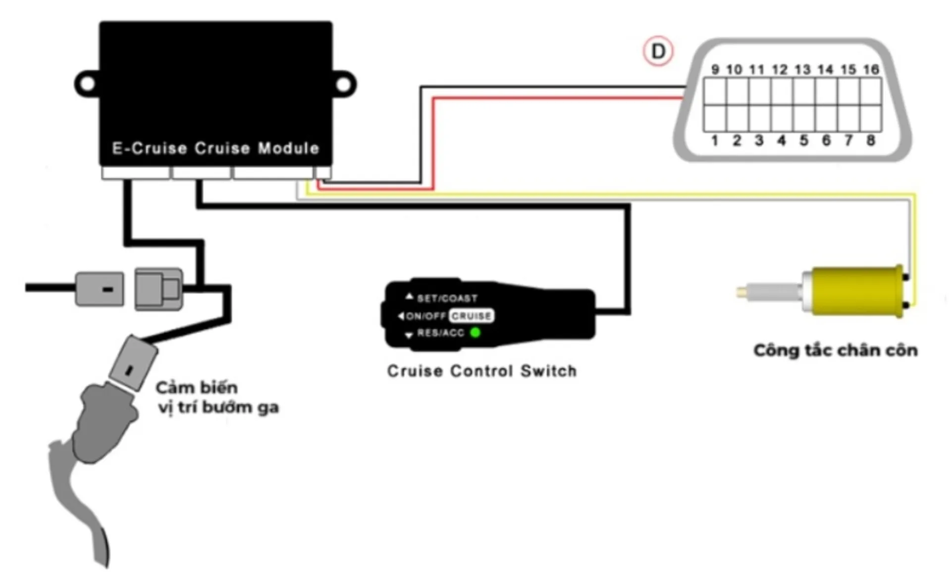 Cruise Contro ảnh thêm 1 Cấu tạo hệ thống Cruise Control