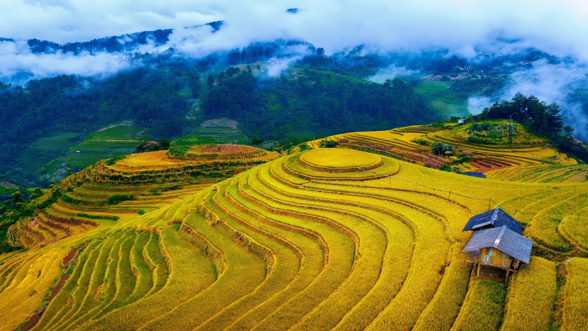 Địa điểm du lịch gần Hà Nội ảnh 2 Mù Cang Chải
