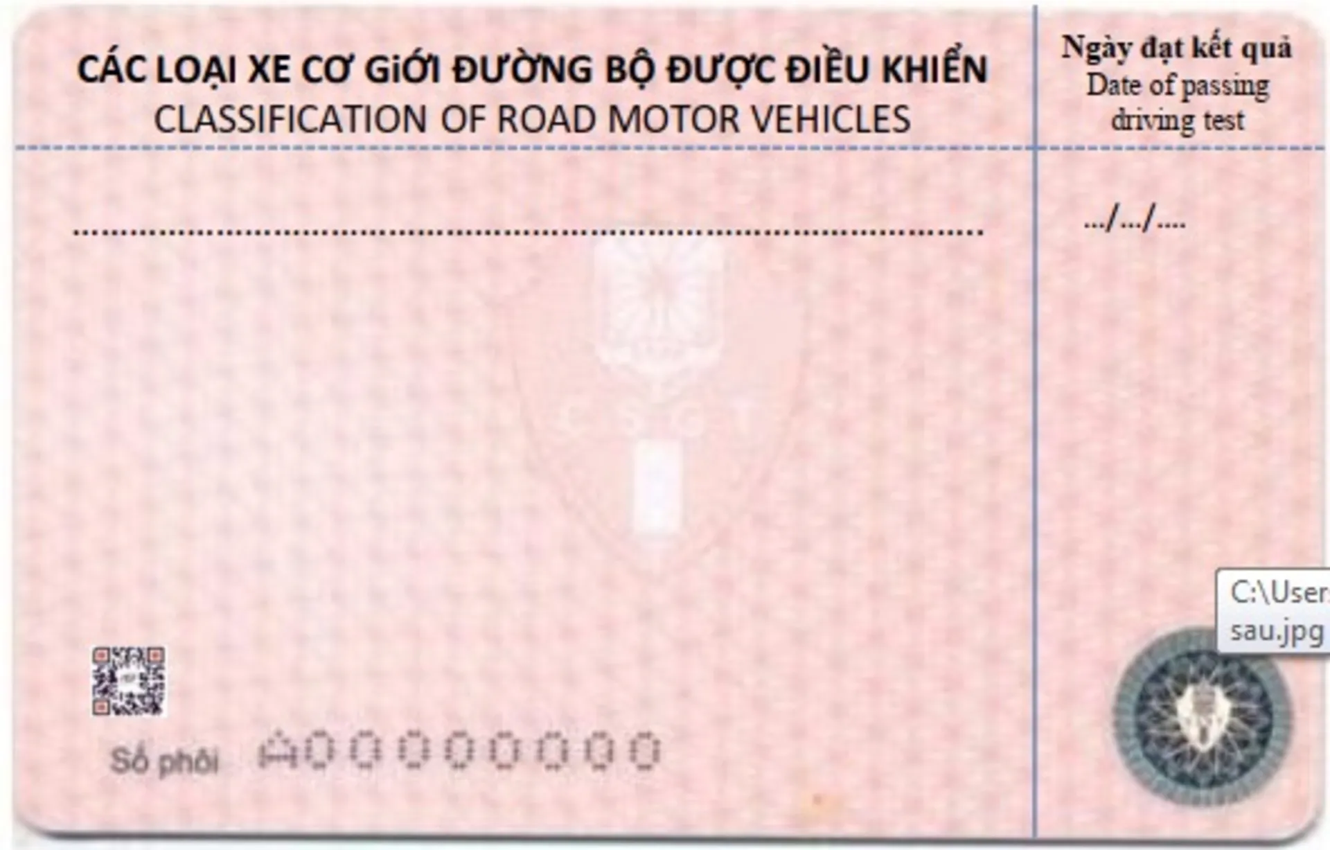 Mặt sau của giấy phép lái xe mới