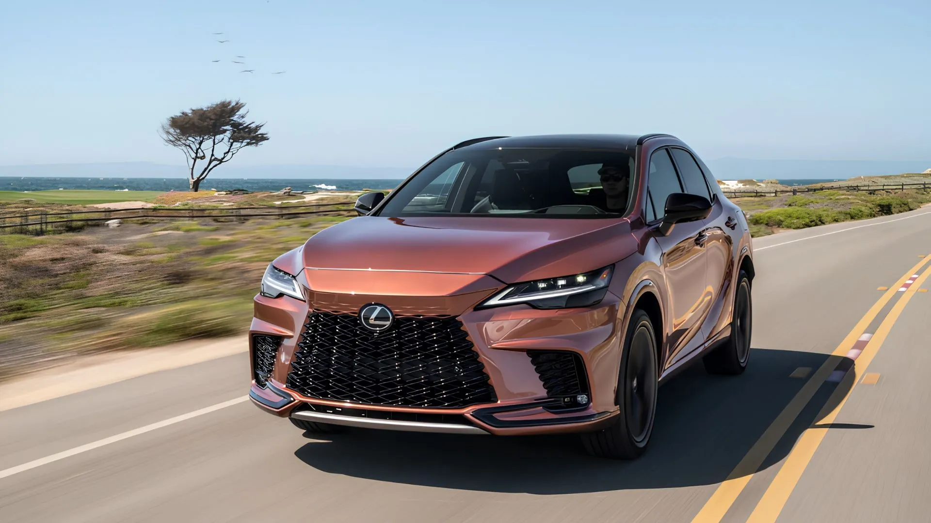 Giá xe Lexus RX từ 4 tỷ