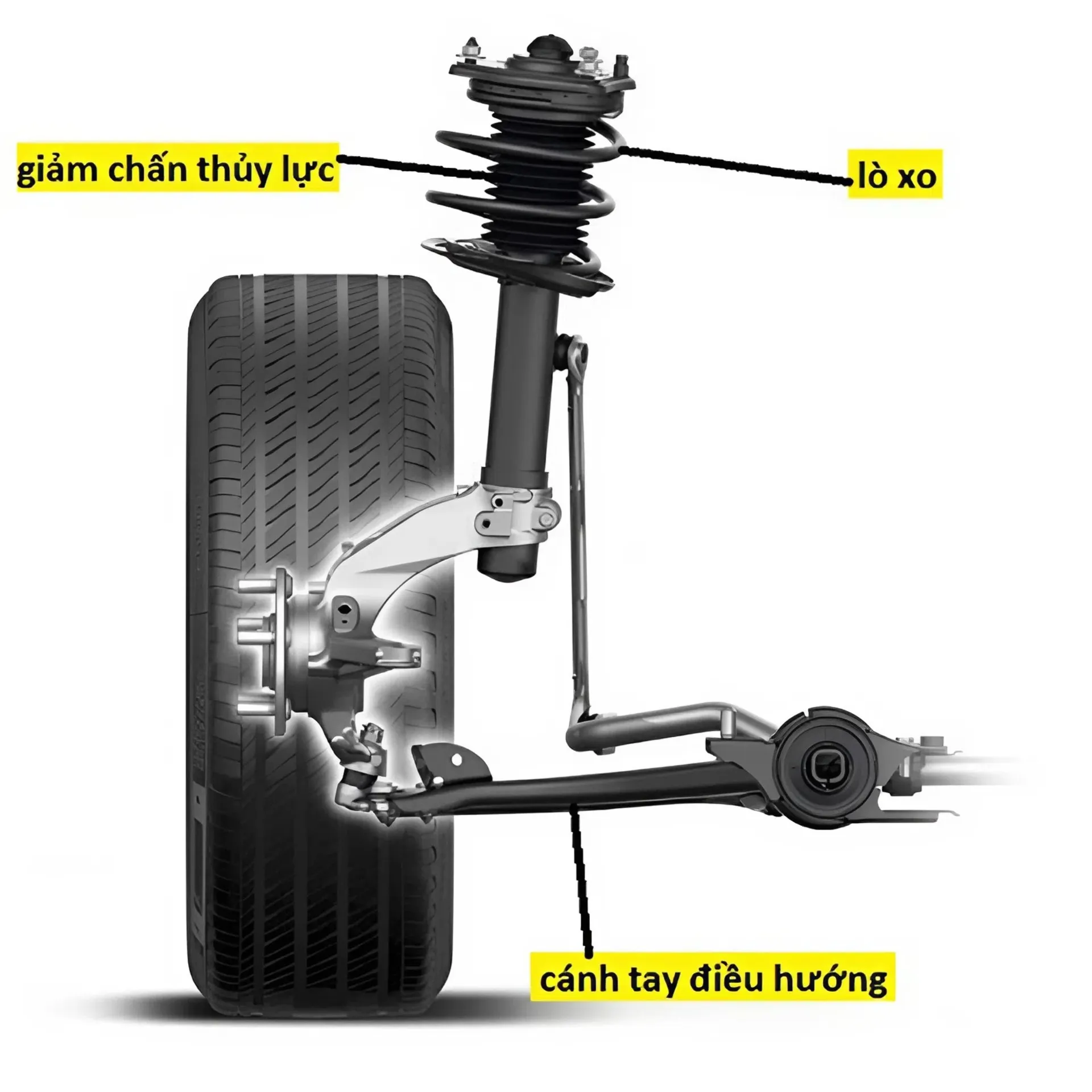 Cấu tạo hệ thống treo trên ô tô