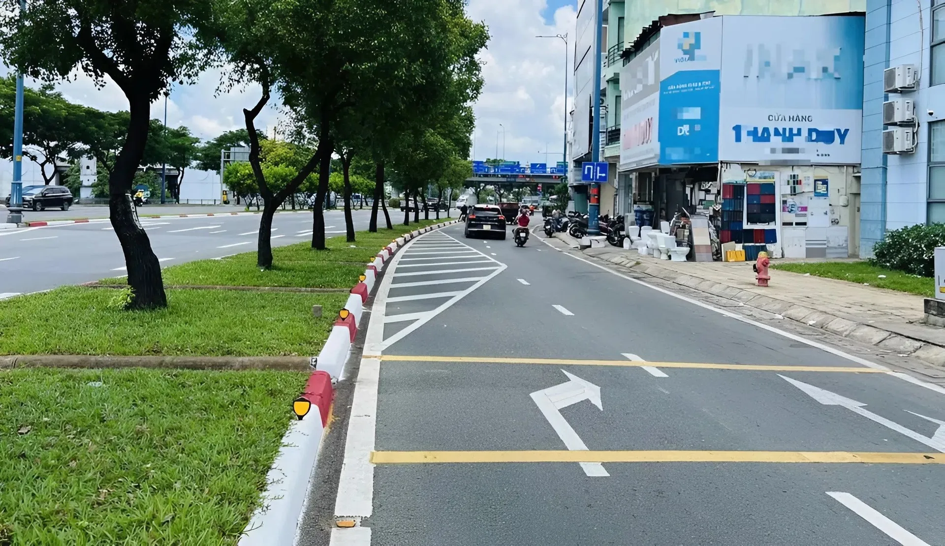 Vạch mắt võng và xương cá