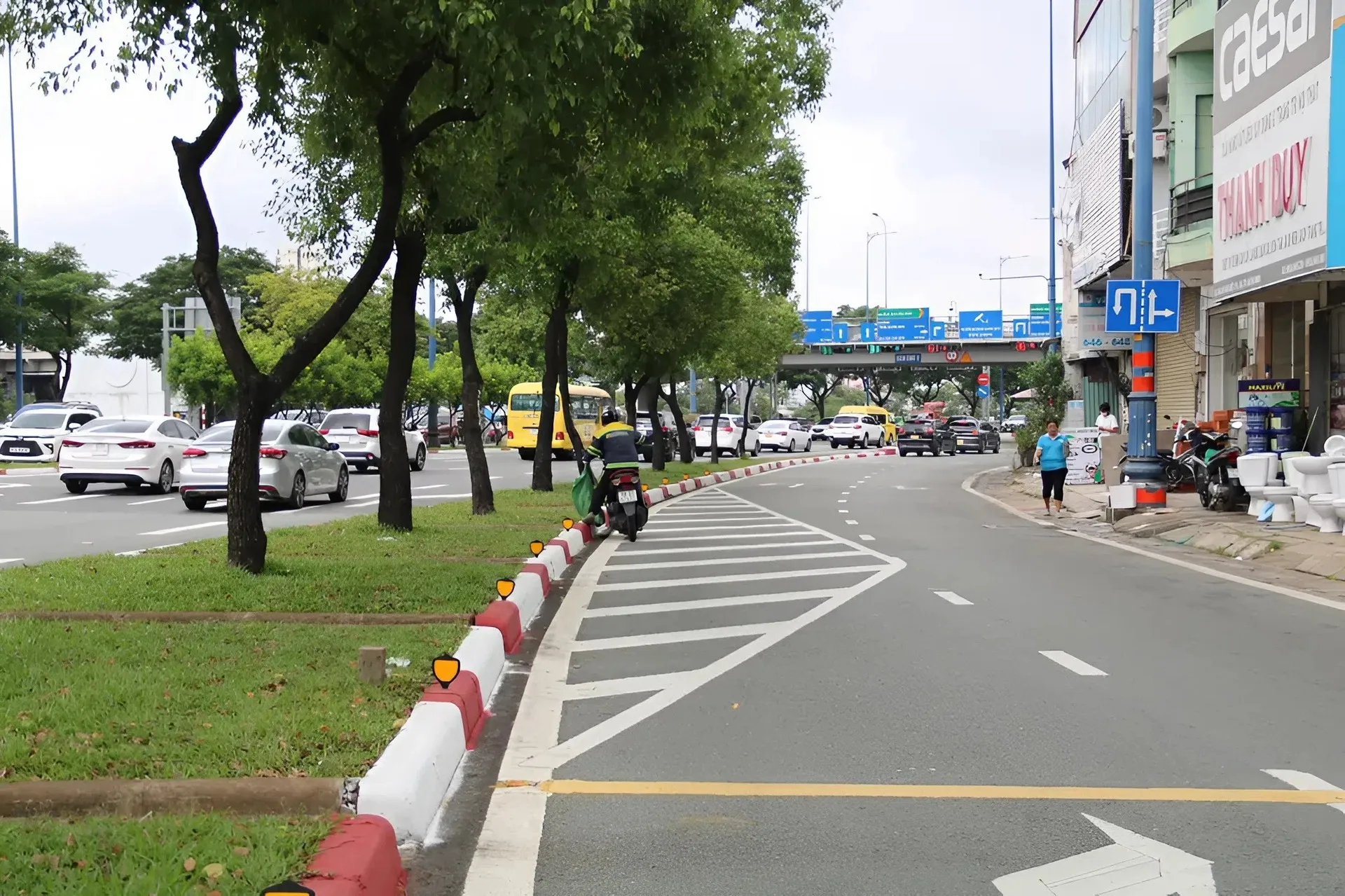 vạch xương cá 1 vạch xương cá là gì