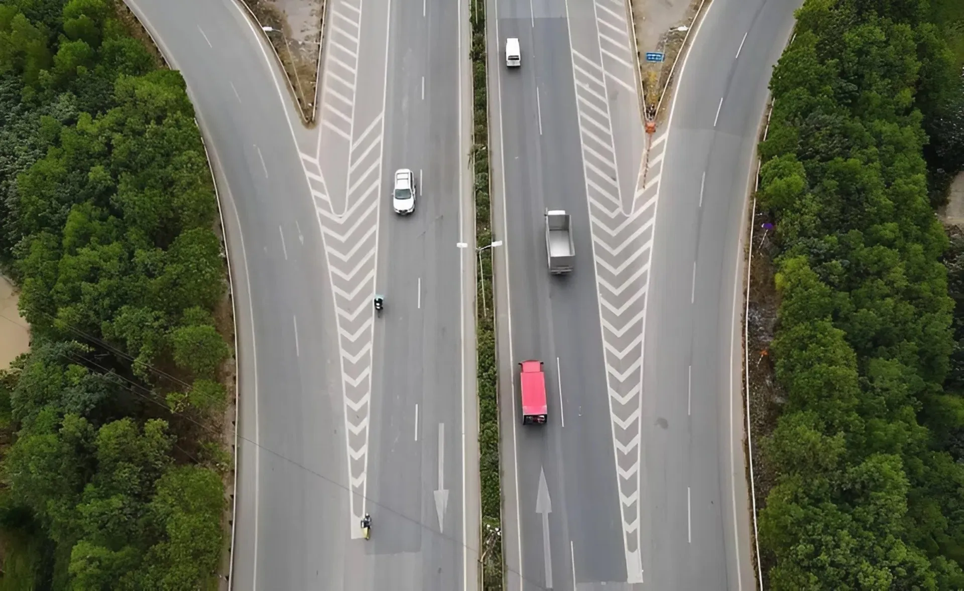 vạch xương cá 6 Trường hợp được đè lên vạch xương cá