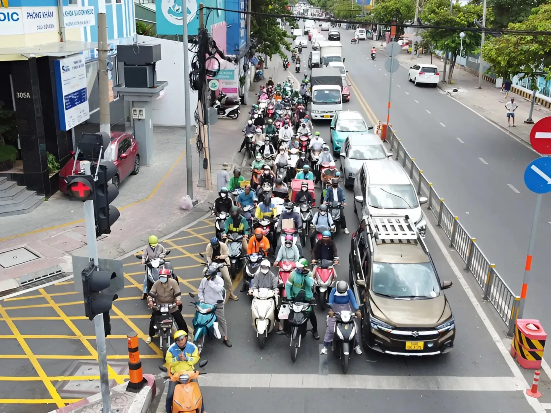 vạch xương cá 7 Vạch mắt võng